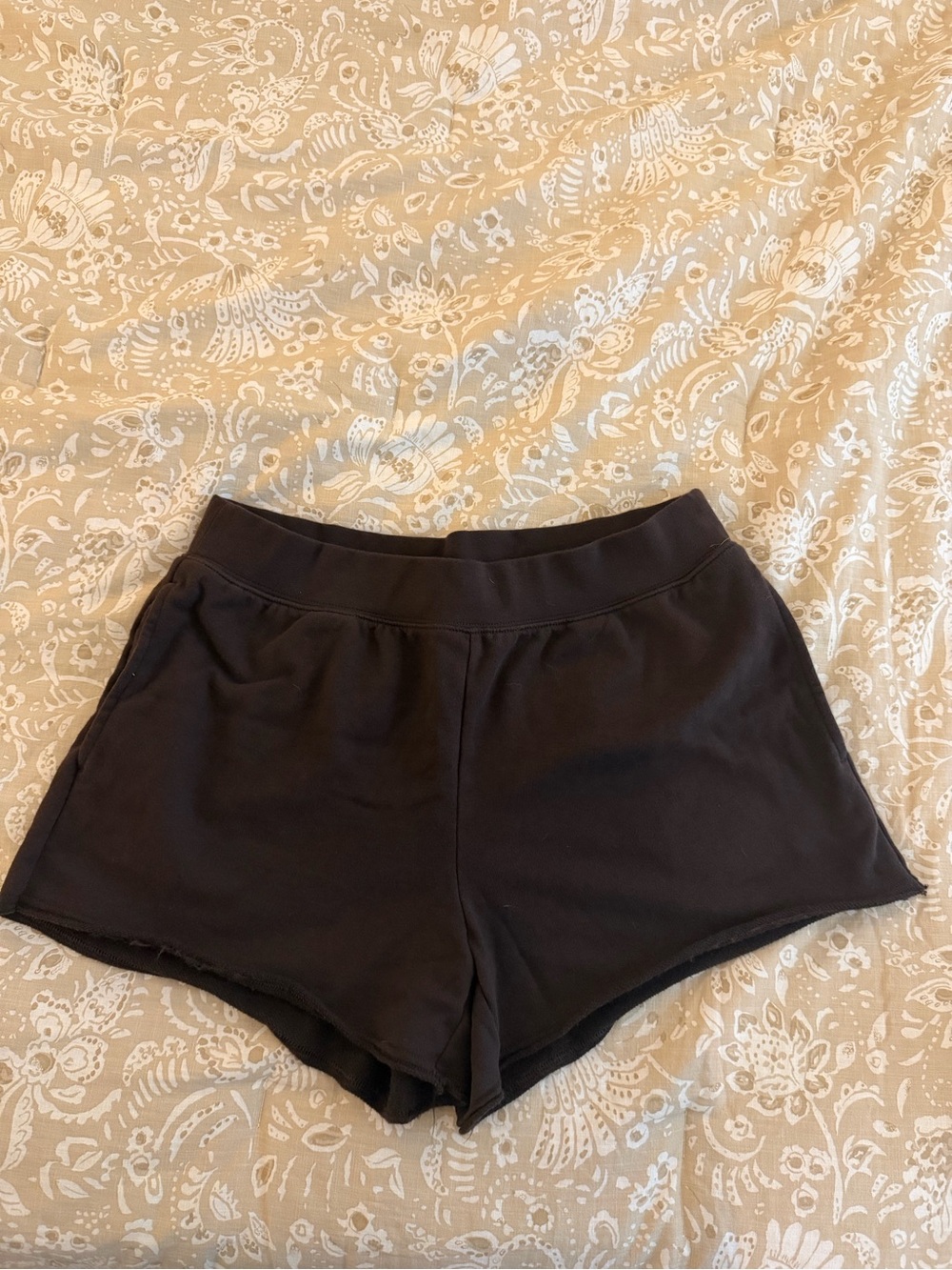 aerie Alumni shorts in Deep Earth